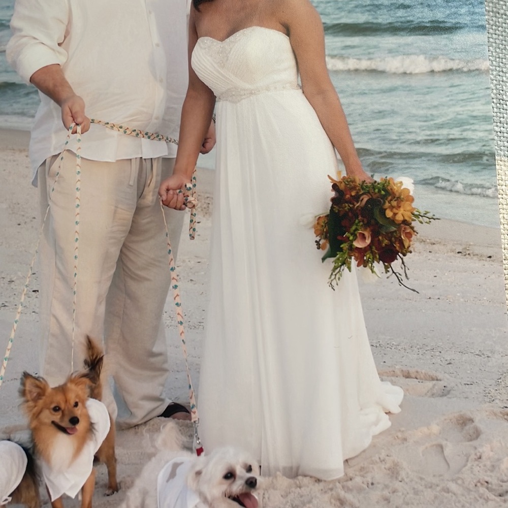 GALINA SIGNATURE From David’s Bridal Wedding Dress